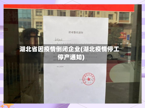 湖北省因疫情倒闭企业(湖北疫情停工停产通知)-第3张图片