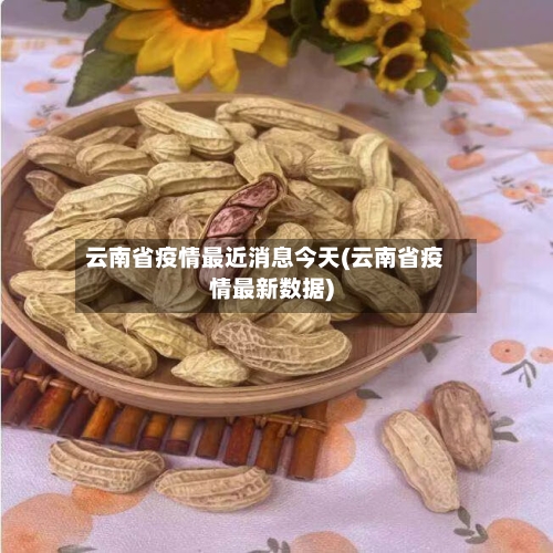 云南省疫情最近消息今天(云南省疫情最新数据)-第2张图片