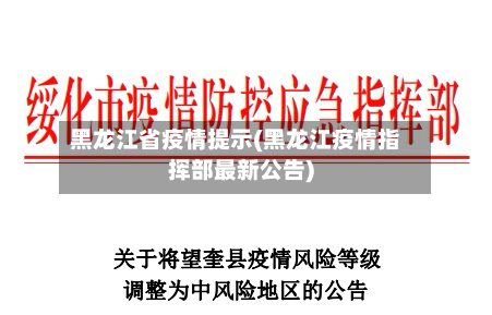 黑龙江省疫情提示(黑龙江疫情指挥部最新公告)-第1张图片