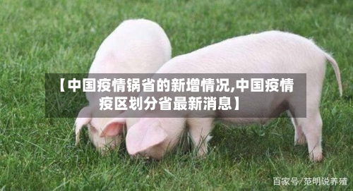 【中国疫情锅省的新增情况,中国疫情疫区划分省最新消息】-第1张图片
