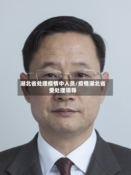湖北省处理疫情中人员/疫情湖北省受处理领导-第2张图片