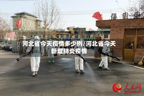 河北省今天疫情多少例/河北省今天新增肺炎疫情-第2张图片