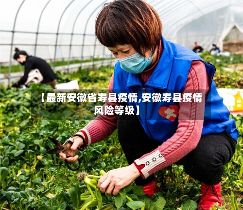 【最新安徽省寿县疫情,安徽寿县疫情风险等级】-第3张图片