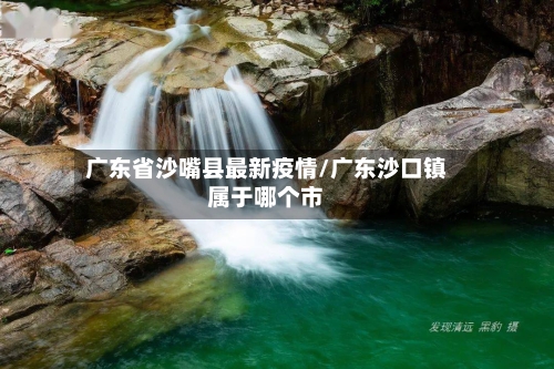 广东省沙嘴县最新疫情/广东沙口镇属于哪个市-第1张图片