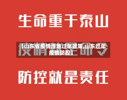 【山东省疫情原地过年政策,山东过年疫情防控】-第2张图片