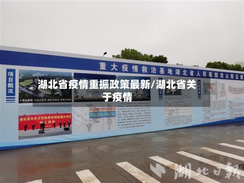 湖北省疫情重振政策最新/湖北省关于疫情-第3张图片