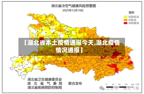 【湖北省本土疫情通报今天,湖北疫情情况通报】-第1张图片