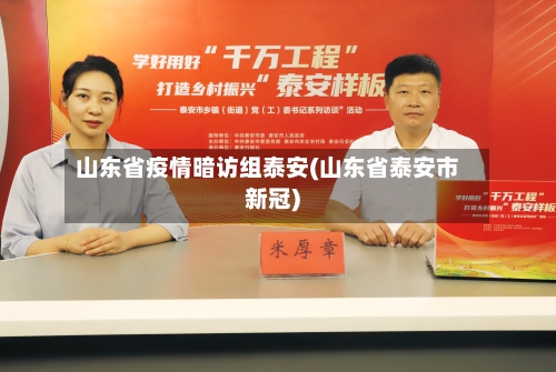 山东省疫情暗访组泰安(山东省泰安市新冠)-第2张图片