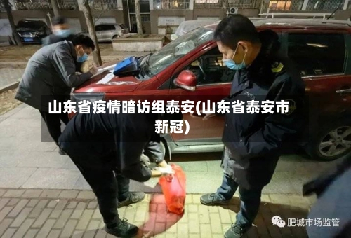 山东省疫情暗访组泰安(山东省泰安市新冠)-第3张图片