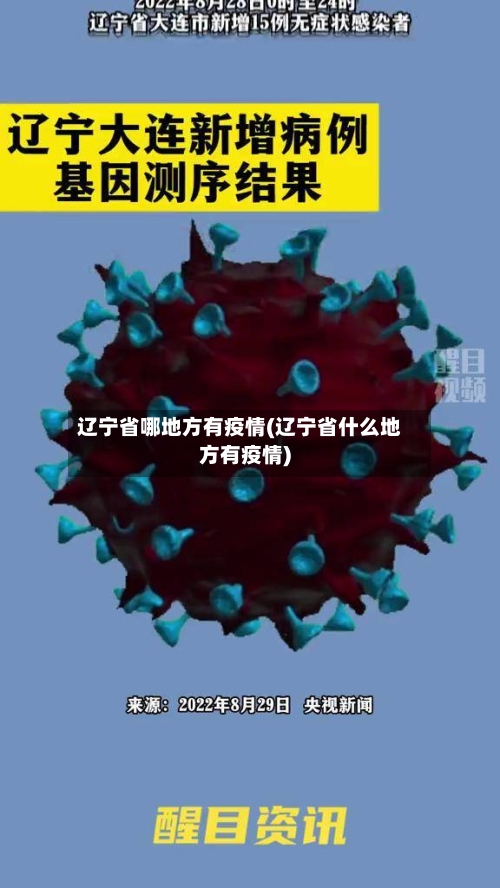 辽宁省哪地方有疫情(辽宁省什么地方有疫情)-第2张图片