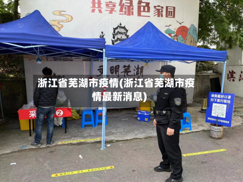 浙江省芜湖市疫情(浙江省芜湖市疫情最新消息)-第2张图片