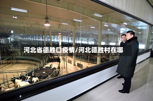 河北省德胜口疫情/河北德胜村在哪-第3张图片