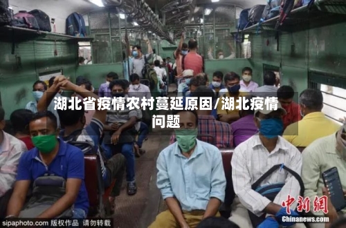 湖北省疫情农村蔓延原因/湖北疫情问题-第1张图片