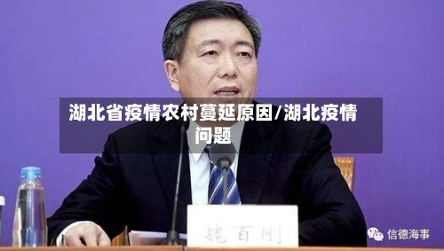 湖北省疫情农村蔓延原因/湖北疫情问题-第2张图片