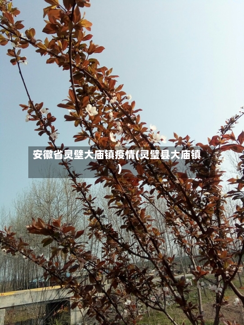安徽省灵壁大庙镇疫情(灵璧县大庙镇)-第1张图片