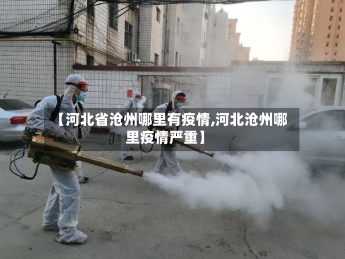 【河北省沧州哪里有疫情,河北沧州哪里疫情严重】-第1张图片
