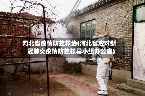 河北省疫情防控救治(河北省应对新冠肺炎疫情防控领导小组办公室)-第1张图片