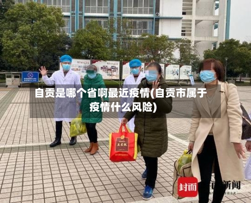 自贡是哪个省啊最近疫情(自贡市属于疫情什么风险)-第2张图片