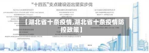 【湖北省十条疫情,湖北省十条疫情防控政策】-第2张图片