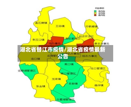 湖北省替江市疫情/湖北省疫情最新公告-第2张图片