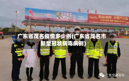 广东省茂名疫情多少例(广东省茂名市新型冠状病毒病例)-第2张图片