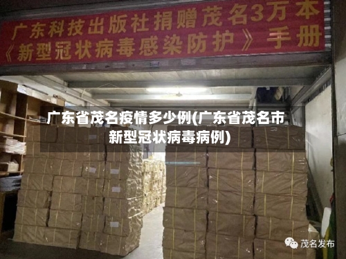 广东省茂名疫情多少例(广东省茂名市新型冠状病毒病例)-第3张图片