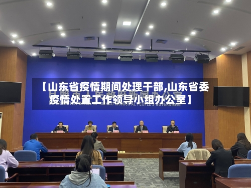 【山东省疫情期间处理干部,山东省委疫情处置工作领导小组办公室】-第3张图片