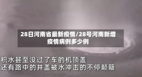 28日河南省最新疫情/28号河南新增疫情病例多少例-第2张图片
