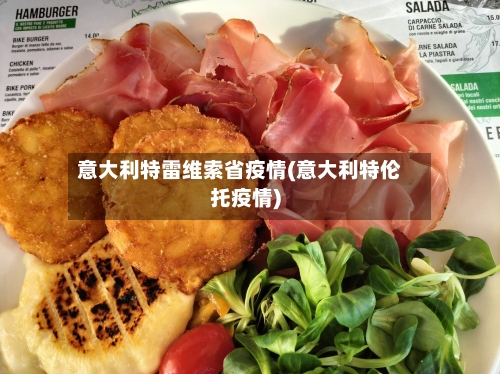 意大利特雷维索省疫情(意大利特伦托疫情)-第1张图片
