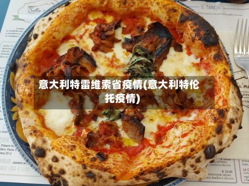 意大利特雷维索省疫情(意大利特伦托疫情)-第3张图片