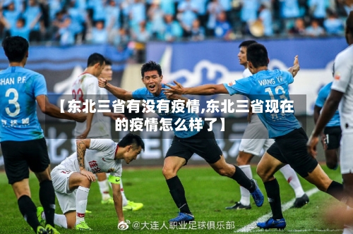 【东北三省有没有疫情,东北三省现在的疫情怎么样了】-第2张图片