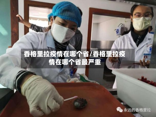 香格里拉疫情在哪个省/香格里拉疫情在哪个省最严重-第2张图片