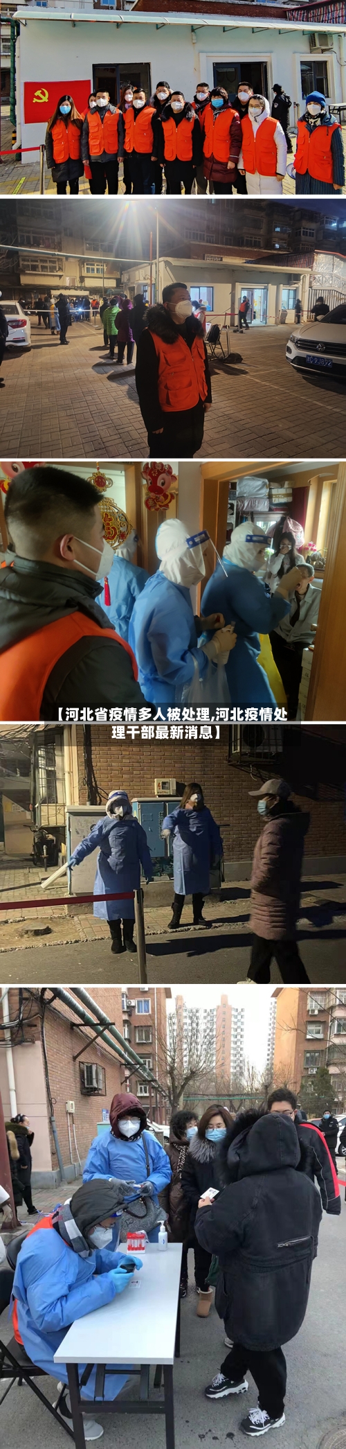【河北省疫情多人被处理,河北疫情处理干部最新消息】-第3张图片