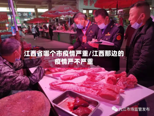 江西省哪个市疫情严重/江西那边的疫情严不严重-第2张图片