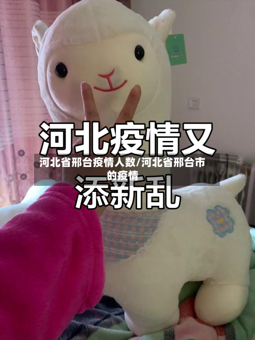 河北省邢台疫情人数/河北省邢台市的疫情-第2张图片