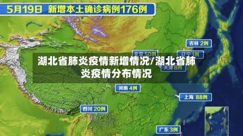 湖北省肺炎疫情新增情况/湖北省肺炎疫情分布情况-第2张图片