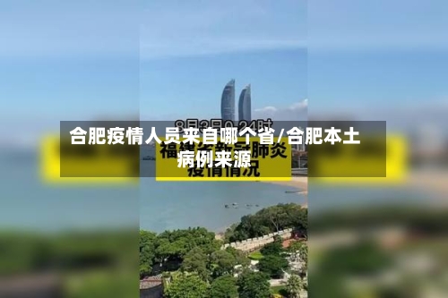 合肥疫情人员来自哪个省/合肥本土病例来源-第3张图片