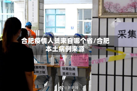 合肥疫情人员来自哪个省/合肥本土病例来源-第2张图片