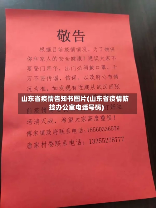 山东省疫情告知书图片(山东省疫情防控办公室电话号码)-第2张图片