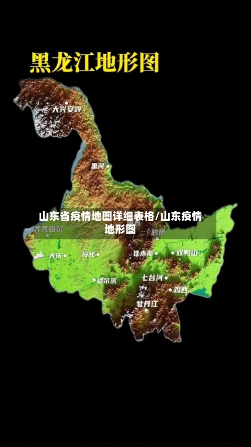 山东省疫情地图详细表格/山东疫情地形图-第2张图片