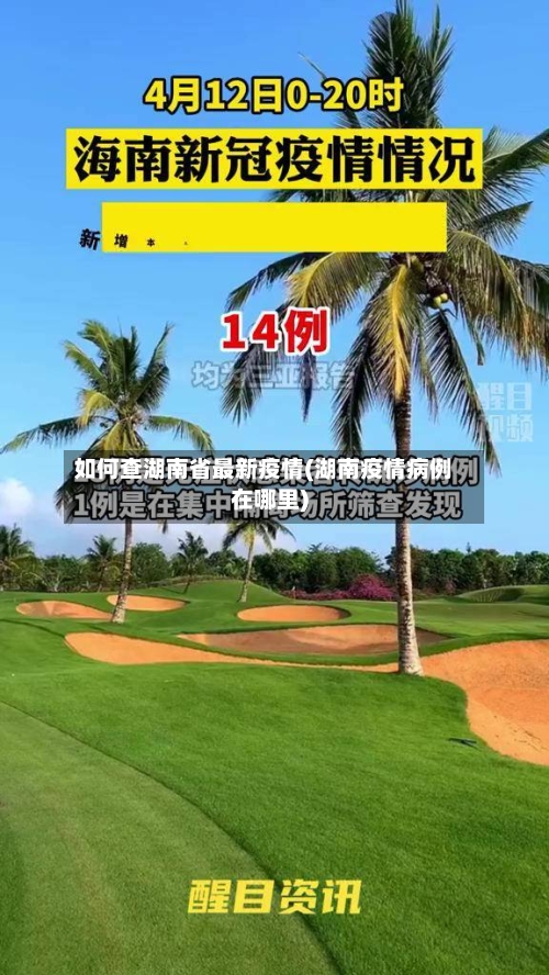如何查湖南省最新疫情(湖南疫情病例在哪里)-第2张图片