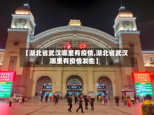 【湖北省武汉哪里有疫情,湖北省武汉哪里有疫情发生】-第1张图片