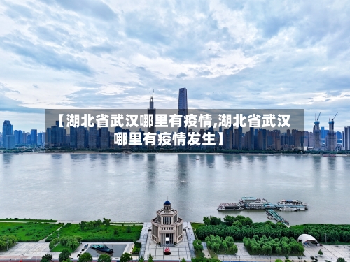 【湖北省武汉哪里有疫情,湖北省武汉哪里有疫情发生】-第2张图片