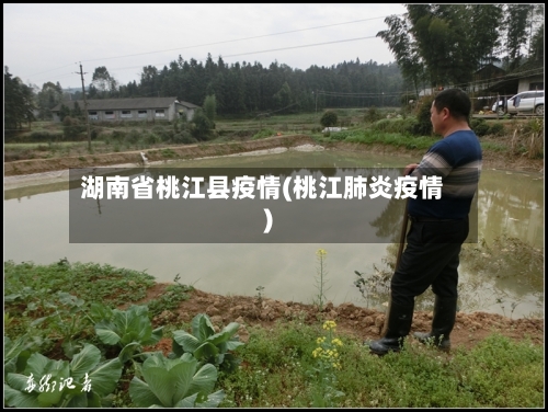 湖南省桃江县疫情(桃江肺炎疫情)-第2张图片