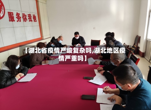 【湖北省疫情严峻复杂吗,湖北地区疫情严重吗】-第1张图片