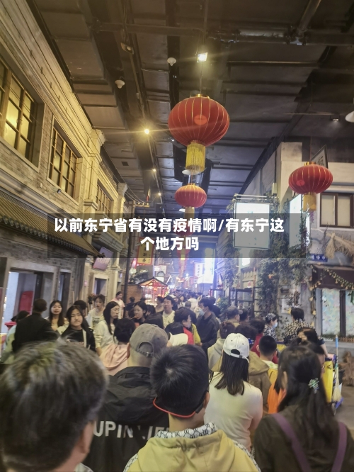 以前东宁省有没有疫情啊/有东宁这个地方吗-第1张图片