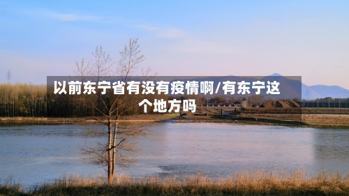 以前东宁省有没有疫情啊/有东宁这个地方吗-第2张图片