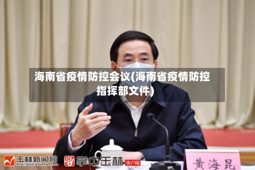 海南省疫情防控会议(海南省疫情防控指挥部文件)-第2张图片