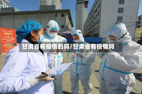 甘肃省有疫情的吗/甘肃省有役情吗-第2张图片