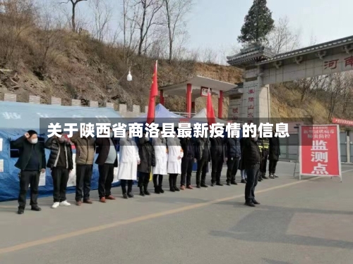 关于陕西省商洛县最新疫情的信息-第3张图片